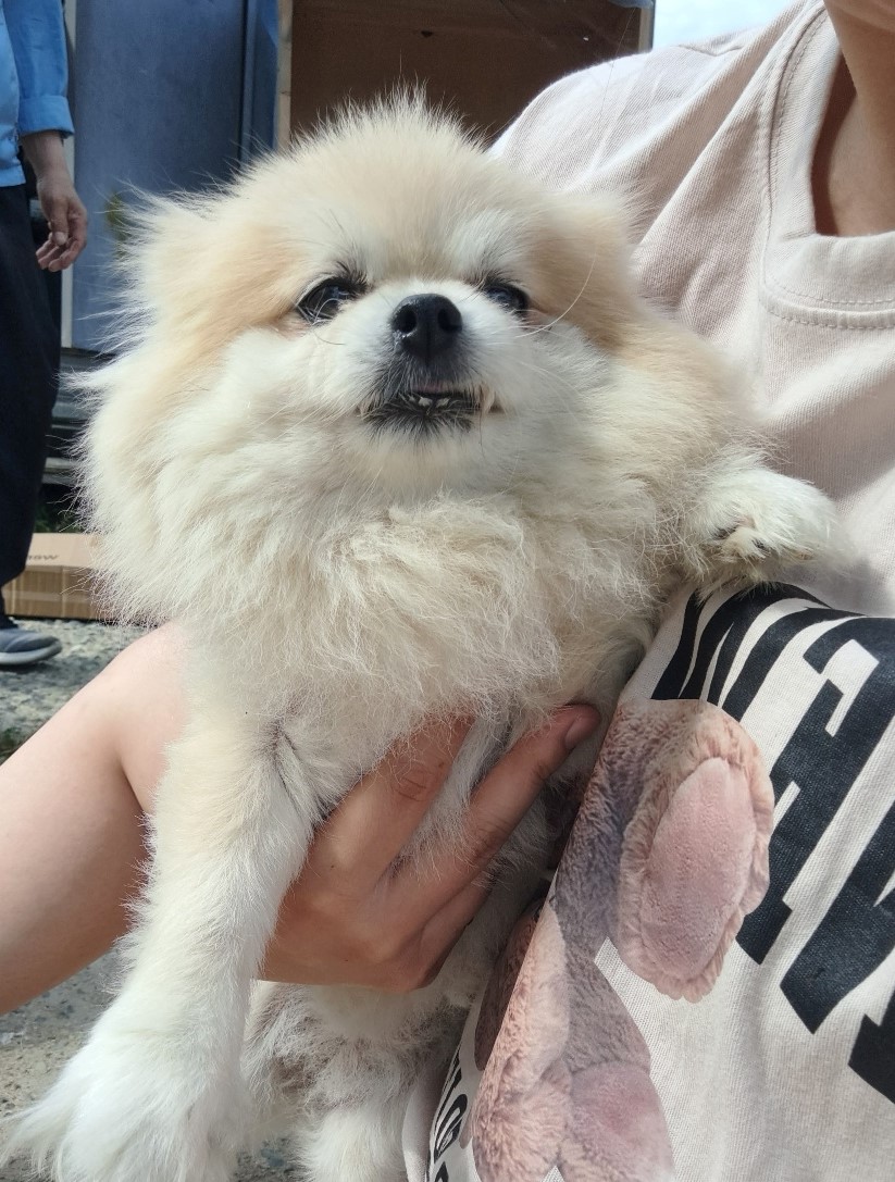 울산유기동물보호센터_431373202300550